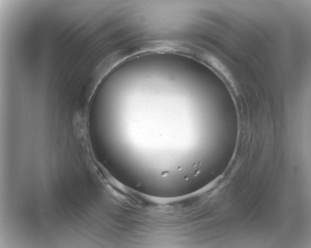 X0000069401481200605121202