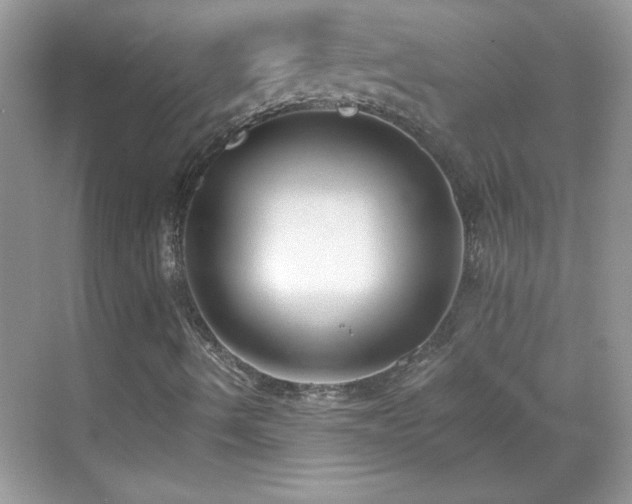 X0000069401490200605121201