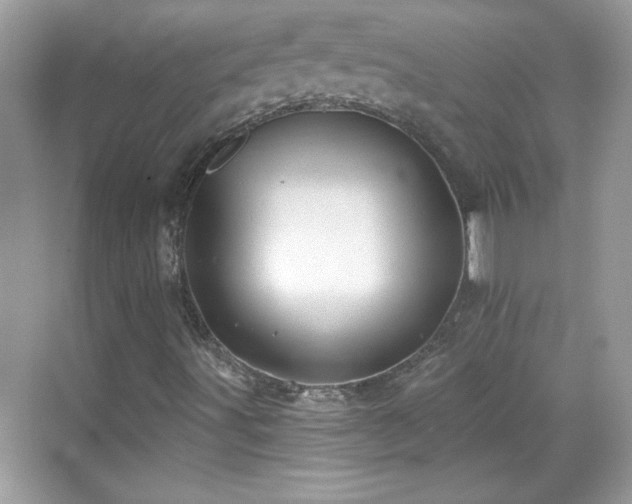 X0000069401491200605121201