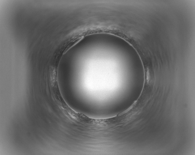 X0000069401492200605121201