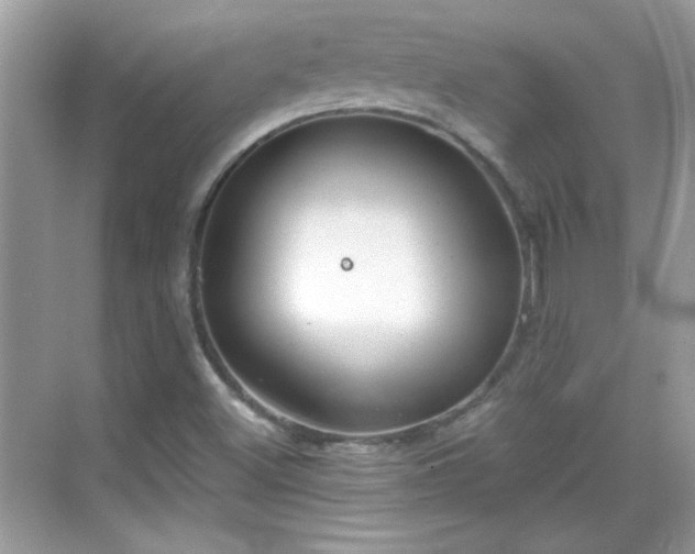 X0000069401500200605121202