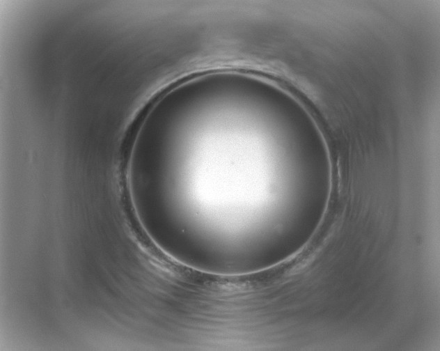 X0000069401501200605121202