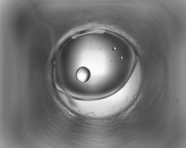 X0000069401502200605121202