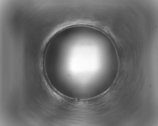 X0000069401504200605121202