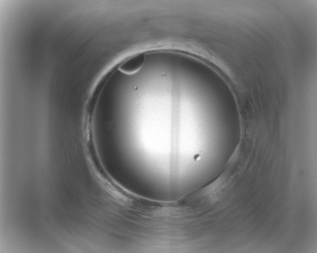 X0000069401510200605121202