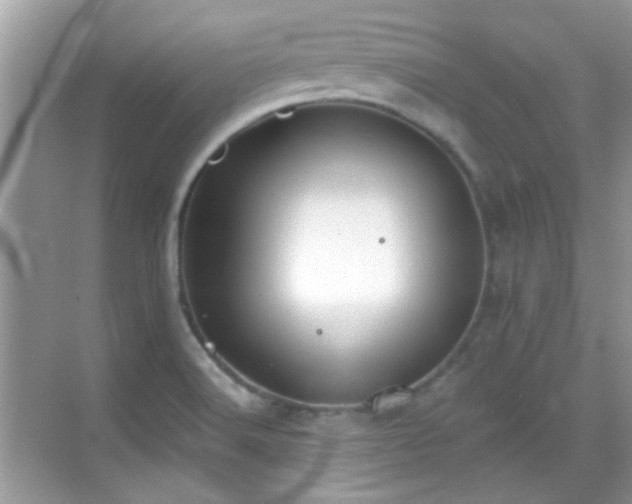 X0000069401516200605121202