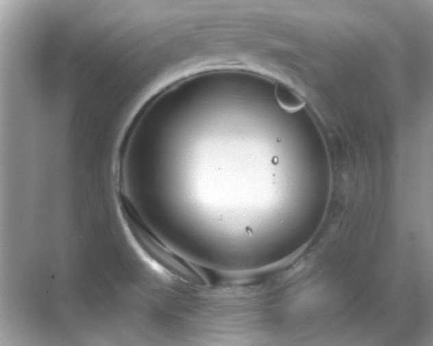 X0000069401519200605121202