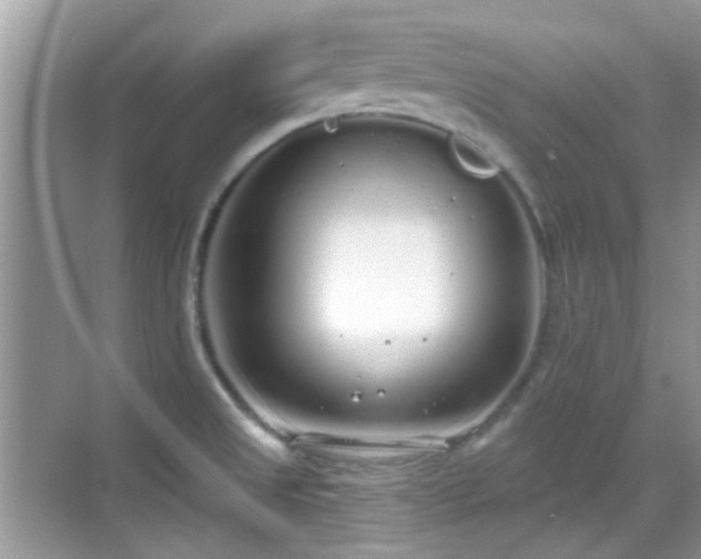 X0000069401525200605121202