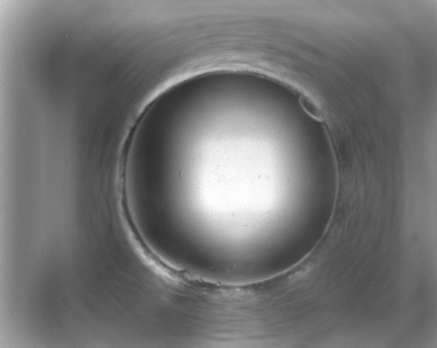 X0000069401526200605121202