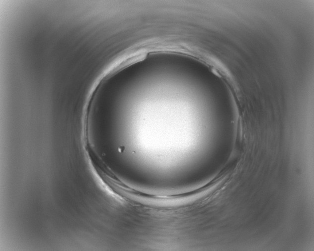 X0000069401528200605121202