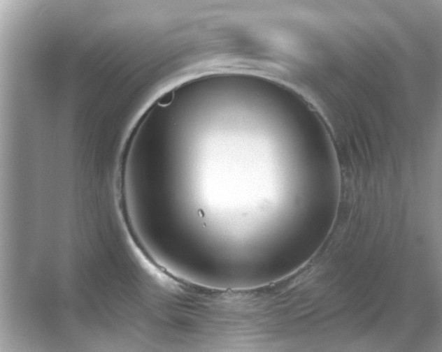 X0000069401531200605121202