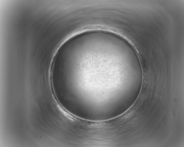 X0000069401535200605121202