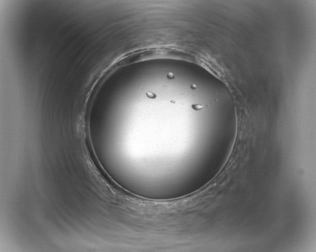 X0000069400002200605151031