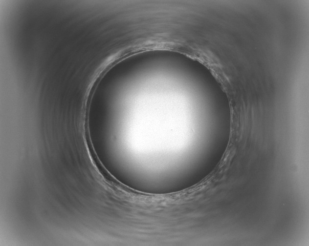 X0000069400003200605151031