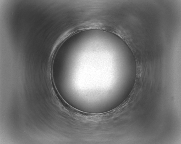 X0000069400004200605151031