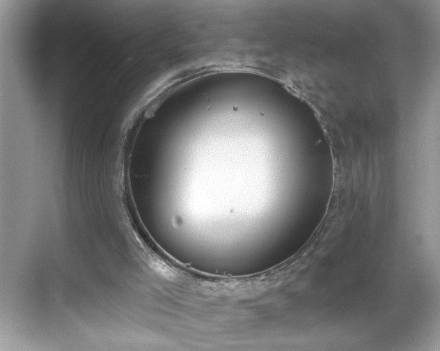 X0000069400005200605151031