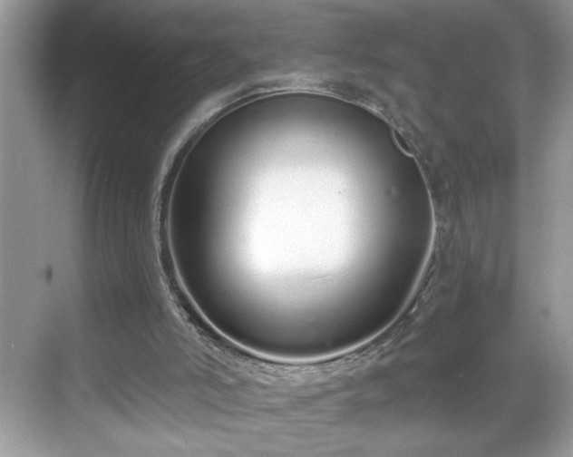 X0000069400006200605151031