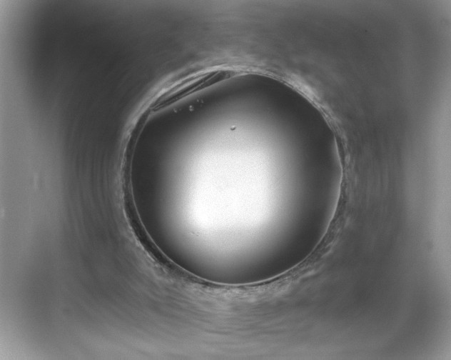 X0000069400007200605151031