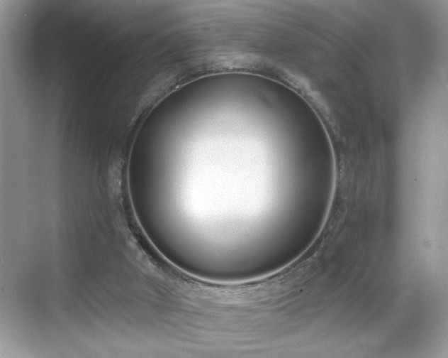 X0000069400010200605151030