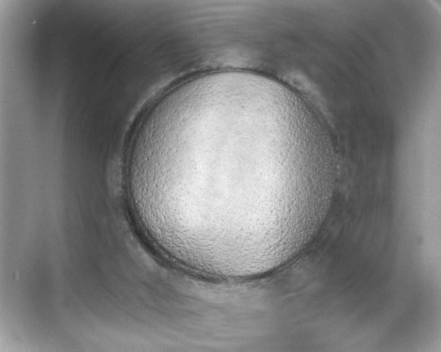 X0000069400012200605151030