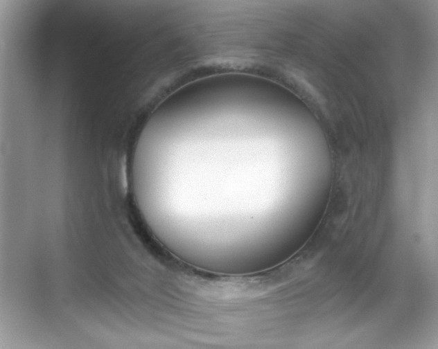 X0000069400020200605151030