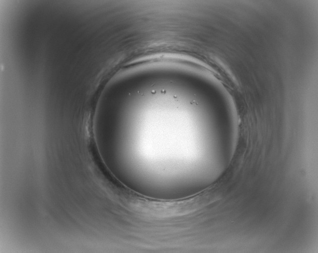 X0000069400023200605151030