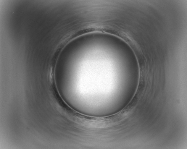 X0000069400024200605151030