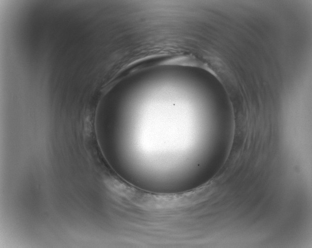 X0000069400037200605151030