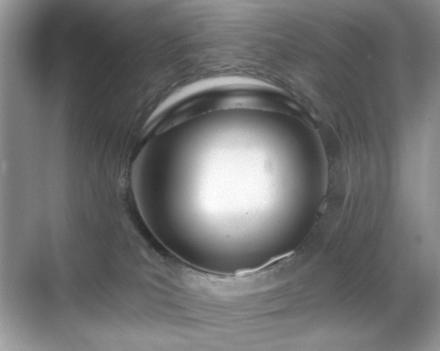 X0000069400039200605151030
