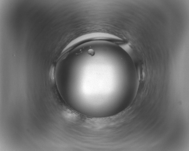 X0000069400041200605151030
