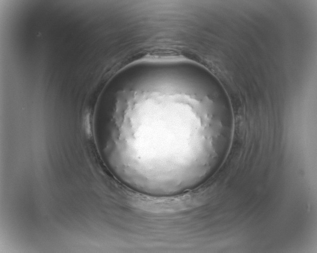 X0000069400042200605151030