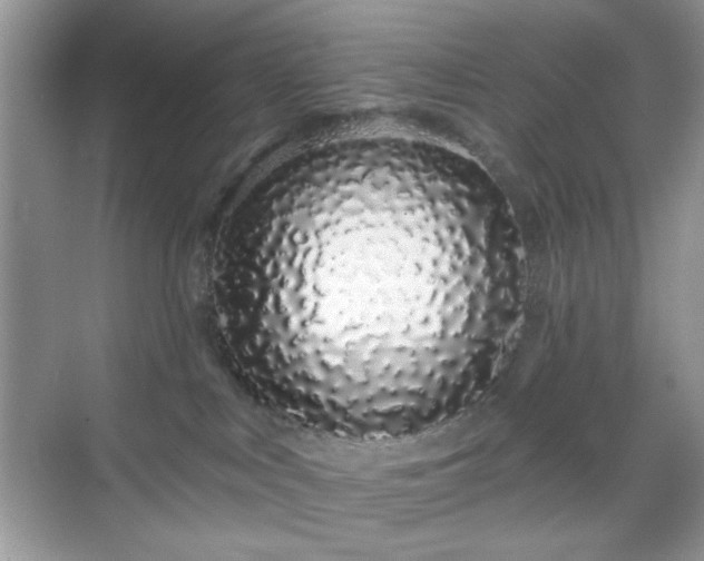 X0000069400043200605151030