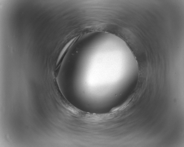 X0000069400045200605151030