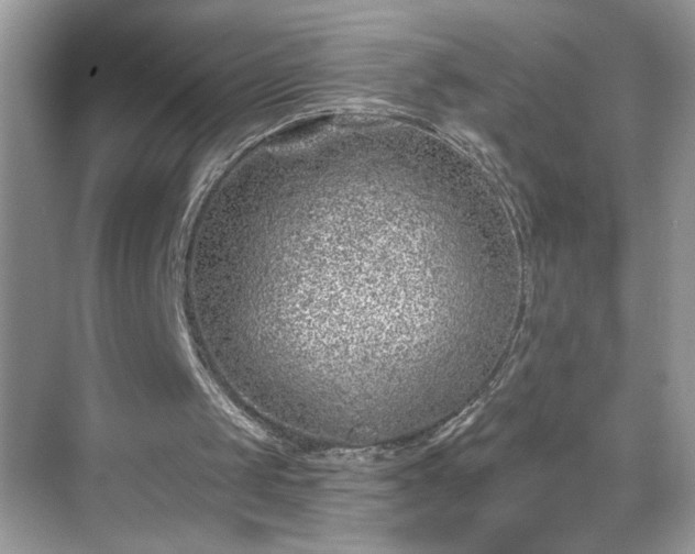 X0000069400049200605151029