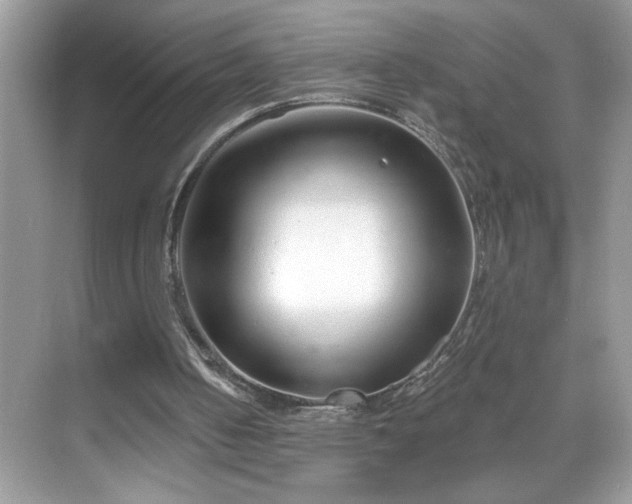 X0000069400050200605151029