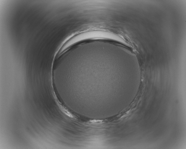 X0000069400052200605151029
