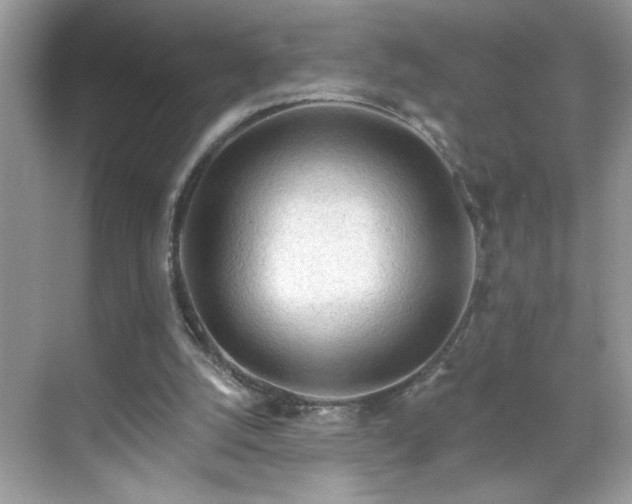 X0000069400056200605151029