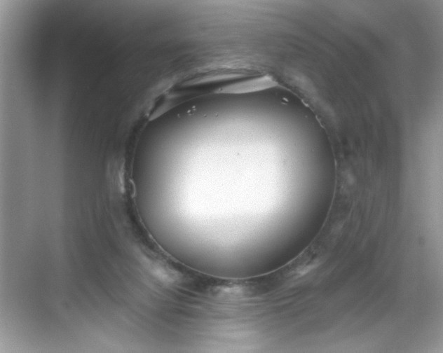 X0000069400068200605151029