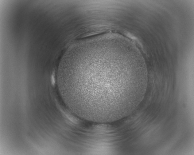 X0000069400069200605151029