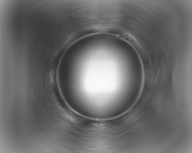 X0000069400071200605151029