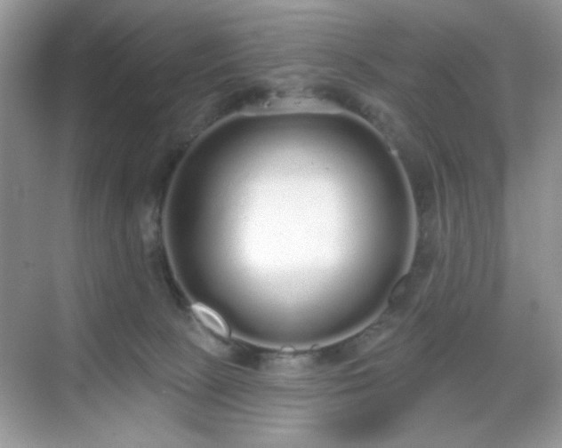 X0000069400081200605151030