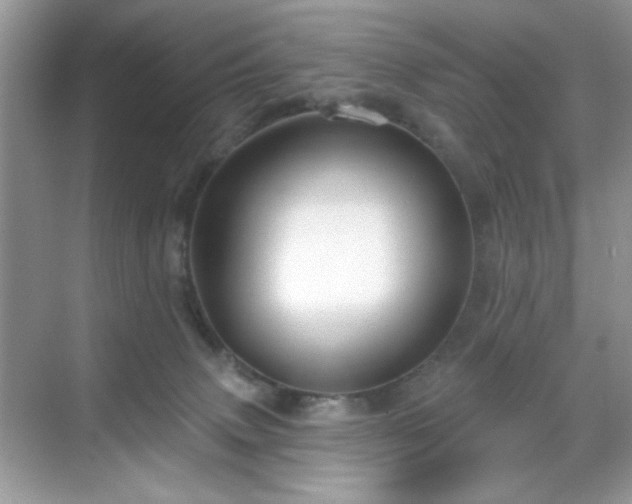 X0000069400083200605151030