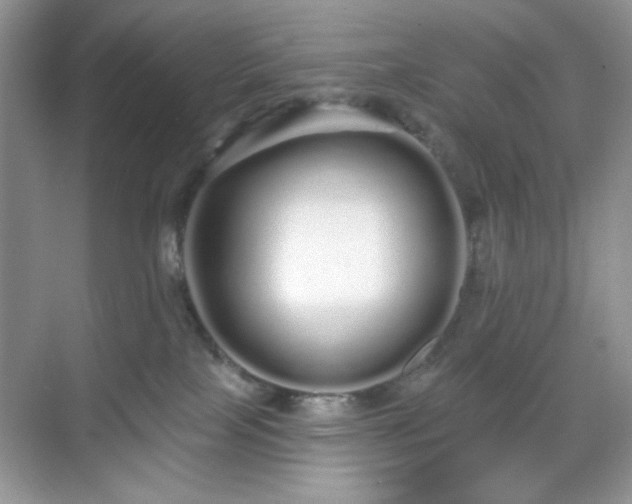 X0000069400089200605151030