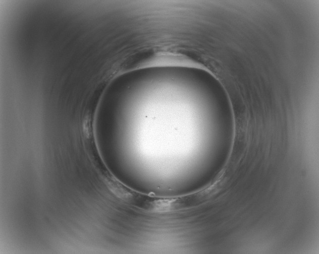X0000069400090200605151030