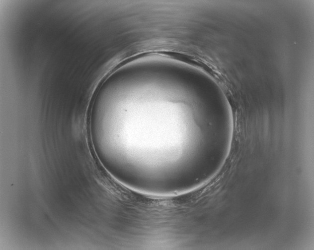 X0000069400099200605151029