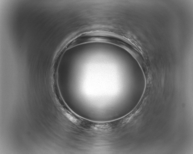 X0000069400101200605151029