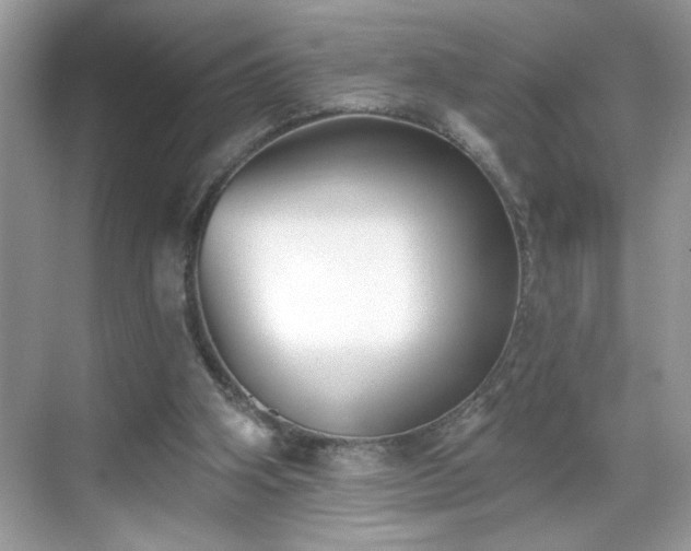 X0000069400106200605151029