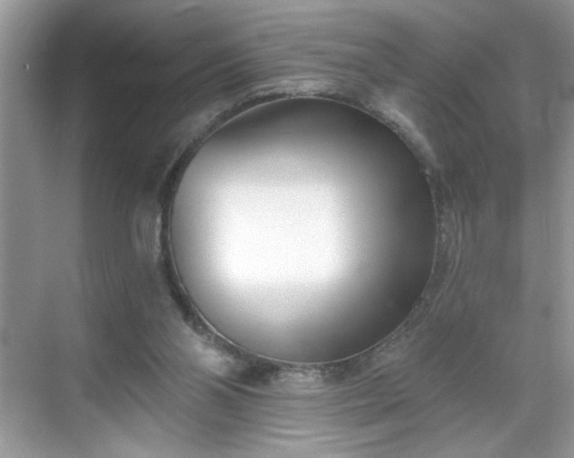 X0000069400110200605151029