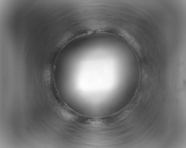 X0000069400113200605151029