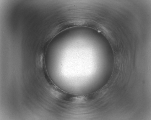 X0000069400118200605151029
